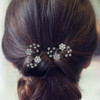 KALLORY 6pcs Rhinestone Hair Claw Clips with Flower Design Sweet Artificial Bangs Clip Jaw Mini Hair Clamps for Women Br