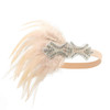 Aylmrice Vintage Feather Rhinestone Headband 1920s Bridal Headpiece for Women Gatsby Accessories Dance Party Hair Costum