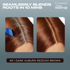 Clairol Root TouchUp by Nicen Easy Permanent Hair Dye 4R Dark AuburnReddish Brown Hair Color Pack of 2