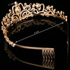 Princess Crown for Women Crystal Queen Tiaras for Girls Bridal Hair Accessories Gifts for Birthday Wedding Prom Bridal P