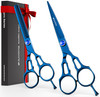 Suvorna Professional Hair Scissors with Thinning Shears 2 Pcs Hair Shears J2 Japanese Stainless Steel Hair Cutting Sciss