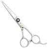 Washi Beauty Eco Shear 55 Professional Stainless Steel Hair Shear Scissor
