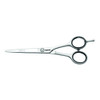 Jaguar Shears White Line Silver Ice 6 Professional Ergonomic Steel Hair Cutting Trimming
