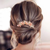 Pearl Rhinestones Hair Accessories Crystals Butterfly Hair Fork Clips for Updo Buns Decorative French Twist Hair Pins Vi