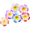 Calcifer 30pcs 197Hawaii Hawaiian Plumeria Flower Clips Bridal Wedding Party Beach Hair Clips5CM197inches
