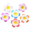 Calcifer 30pcs 197Hawaii Hawaiian Plumeria Flower Clips Bridal Wedding Party Beach Hair Clips5CM197inches
