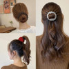 Sizobi Bird Nest Magic Hair Clip Hair Accessories for WomenHair Ties Bun Maker Scrunchies for Thick Thin HairHair Clips