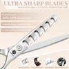 Dream Reach Professional 6 inch Hair Cutting Scissors Japanese 440C Steel Thinning Shear for MenWomen Cutting for SalonB