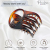 Parcelona French Curvy Oval Paw Medium 3 Cellulose Acetate Side Slide In Jaw Hair Claw Clip Clutcher for Women and Girls