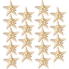Yilloog 18 Pcs Starfish Hair Clips Mermaid Accessories Seashell Resin Starfish Beach Hair Clips Pins for Women Ladies Ha