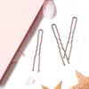 U Shaped Hair Pins IKOCO 24inch Hair Pins for Women with Storage Box Brown