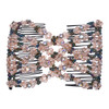 Lovef 1pcs Multifunction Beaded Magic Hair Accessory with Elastic Double Easy Clips and Insert Hair Jewelry CoffeeB