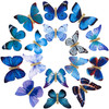 DEEKA Butterfly Hair Clips 16 PCS Small Realistic Colorful Handmade 90s Hair Clips Barrette Hair Accessories for Women a