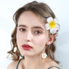 12 Pcs Flower Hair Clips Chiffon Plumeria Hair Clip Orchid Floral Barrettes Women Bridal Multicolor Hawaiian Luau Tropic