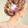 12 Pcs Flower Hair Clips Chiffon Plumeria Hair Clip Orchid Floral Barrettes Women Bridal Multicolor Hawaiian Luau Tropic