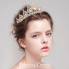 SuPoo Crowns for Women Gold Tiara and Crown Queen Birthday Tiara AB Crystal Headband Rhinestone Hair Accessories Shiny P