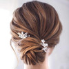 Catery Flower Bride Wedding Hair Pins Crystal Pearl Hair Set Jewelry Headpieces Bridal Decorative Hair Accessories for W