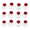 canjoyn 24 Pcs Bridal Gem Spin Hair Pins Swirl Hair Twists Coils Wedding Spiral Twist Hairpins Shiny Rhinestone Crystal