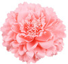 Hair Flower Clips Brooch Boutique Hair Accessories Bohemia Hairpins for Women Girls Pink 1 Count Pack of 1
