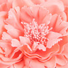 Hair Flower Clips Brooch Boutique Hair Accessories Bohemia Hairpins for Women Girls Pink 1 Count Pack of 1