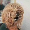 Unicra Bride Wedding Black Hair Pins Bridal Crystal Hair Piece Hair Accessories for Women and Girls Pack of 2