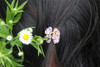 Yeshan Rhinestone and Crystal Metal Jaw Claw Hair ClipSmall Butterfly Design Barrettes for Womenpack of 6