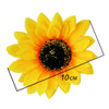 10 Pcs 4 Hair Clips Artificial Sunflower Alligator Hair Clip Hairpin Holiday Beach Hair Barrette Headpiece Hair Accessor