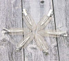 Mini Skater 6Pcs No Bend Hair Clip Makeup Pin Curl Clips No Crease Hair Clip for Hairstyle Bangs Waves Styling Hair Salo