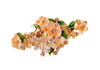 Rhinestone Metal Hair Claw on Dual Spring Vintage Enamel Painted Flowers Shiny Crystals Headdress Hair Clips Alloy Crab