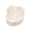 Shell Jaw Clip Hair Claw Clip Clamps Resin Hair Clips Marble Pattern Hairpins Hair Accessories for women Styling Hairdre