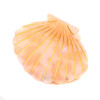 Shell Jaw Clip Hair Claw Clip Clamps Resin Hair Clips Marble Pattern Hairpins Hair Accessories for women Styling Hairdre