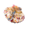 Shell Jaw Clip Hair Claw Clip Clamps Resin Hair Clips Marble Pattern Hairpins Hair Accessories for women Styling Hairdre