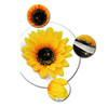6PCS Beautiful Sunflower Hair Alligator Clips Hair Clamp Hair Styling Accessories for Lady Girls Party Beach Vacation We