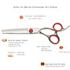Professional Hair Cutting Scissors 6 inch thinning Scissors 30 Tooth Blender Convex Blade Comfort Handle Stainless Steel