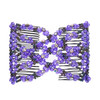 Lovef Crystal Bow Elastic Double Combs with Plastic Flowers Hair Clips Hair HolderEasy Comb Purple