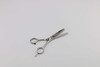 Professional Hair Thinning Sheers