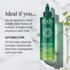 ALODIA Nourish Grow Hair and Scalp Treatment Avocado Oil Rosemary PreShampoo and Hot Oil for All Hair Types 8 oz
