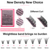 Fenshine Cluster Lashes Individual Lashes Wide Stem 0.07D 10D/20D Curl Mix 9-14mm Length DIY Eyelash Extension Individual Soft False Lashes for Perso online at globaldelivered