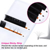 Eyelash Extensions Thickness 003 D Curl 11mm Premade Fans 2D10D Easy Fan Lash Self FanningOptinal CD Curl Salon Use By F