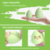 COSTICA Makeup Sponge Set Blender Beauty Sponge Makeup Blender Flawless for Liquid Multi Colored 8 pcs Exquisite Packege