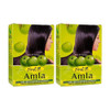 Hesh Pharma Amla Hair Powder 35oz 100g Pack of 2
