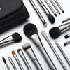 Professional Makeup Brush Set EIGSHOW High End Makeup Brushes for Foundation Powder Blending Blush Bronzer Eyeliner Eyes