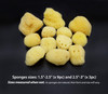 Constantia Beauty Natural Sea Silk Sponges 12pack like Cotton Balls for Cosmetic Use Makeup Application Blending Removal