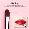 Jessup Lip Brush Set Professional Lip Makeup Brushes for Lipstick StreakFree Contour Define and Accentuate Premium Synth