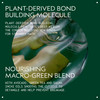 Aveda Botanical Repair Strengthening LeaveIn Treatment for Damaged Hair Instantly Strengthens Hair Heat Protectant Helps