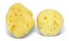 Constantia Beauty Premium Natural FINA Silk Sponges 2pc 4 45 Luxury Softness on The Skin from The Mediterranean Fine Por