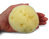 Constantia Beauty Premium Natural FINA Silk Sponges 2pc 4 45 Luxury Softness on The Skin from The Mediterranean Fine Por