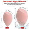 Makeup Sponges set for Dry Wet Use Foundation Blending Sponge for Concealer Blush Powder Multicolor Blender Sponges 4pcs
