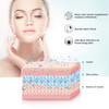 EZBASICS Facial Steamer Ionic Face Steamer for Home Facial Warm Mist Humidifier Atomizer for Face Sauna Spa Sinuses Mois