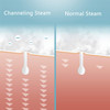 Facial Steamer for Face Face Steamer for Facial Deep Cleaning Nano Ionic Facial Steamer for Unclogs Pores Hydrating Purp